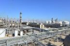 افزایش چشمگیر خوراک در بندر امام