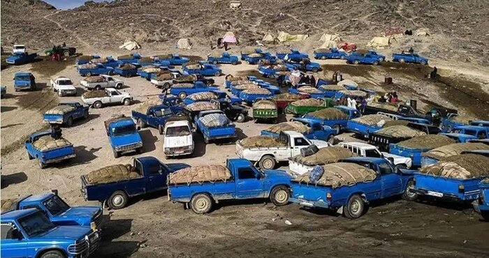 کشف هفت هزار خودروی نفت‌گازسوز در جنوب شرق