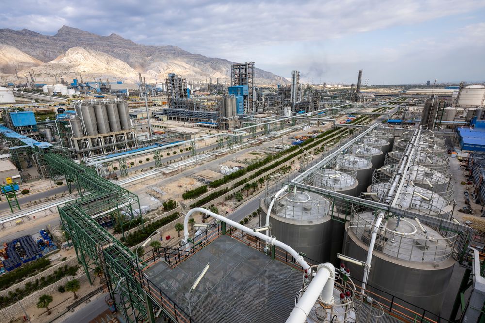 مهر تایید حسابرس بر سود آریا