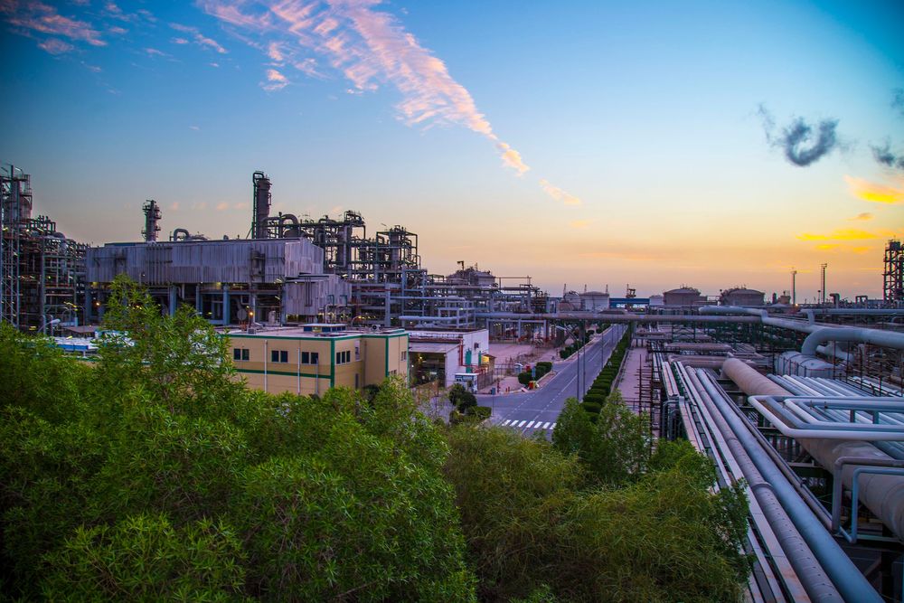 افزایش تولید و فروشِ آریا